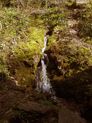 FONTAINE-MOUNIES